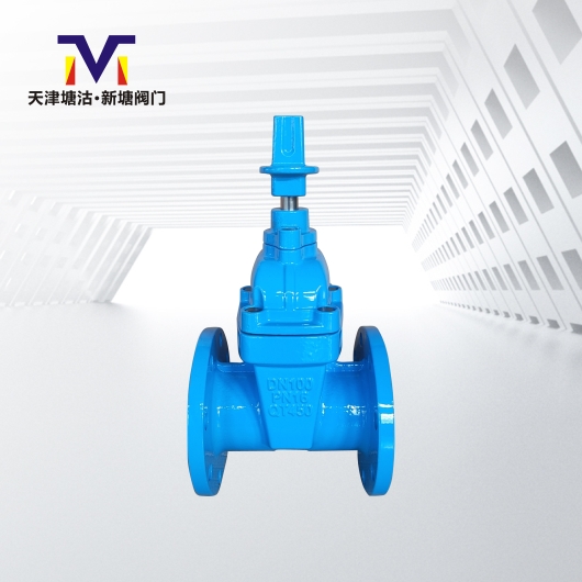 地下管網(wǎng)橡膠閘閥